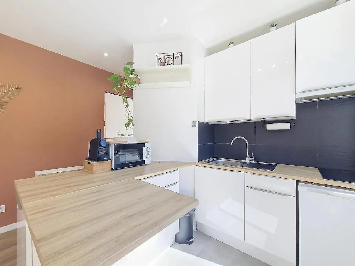 Studio Toit Terrasse Vue Mer Sea View Nice France